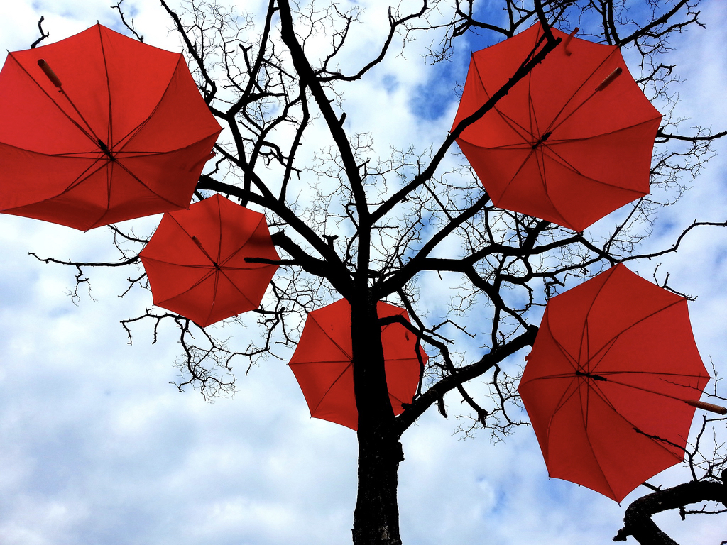 5 open red umbrellas in a tree