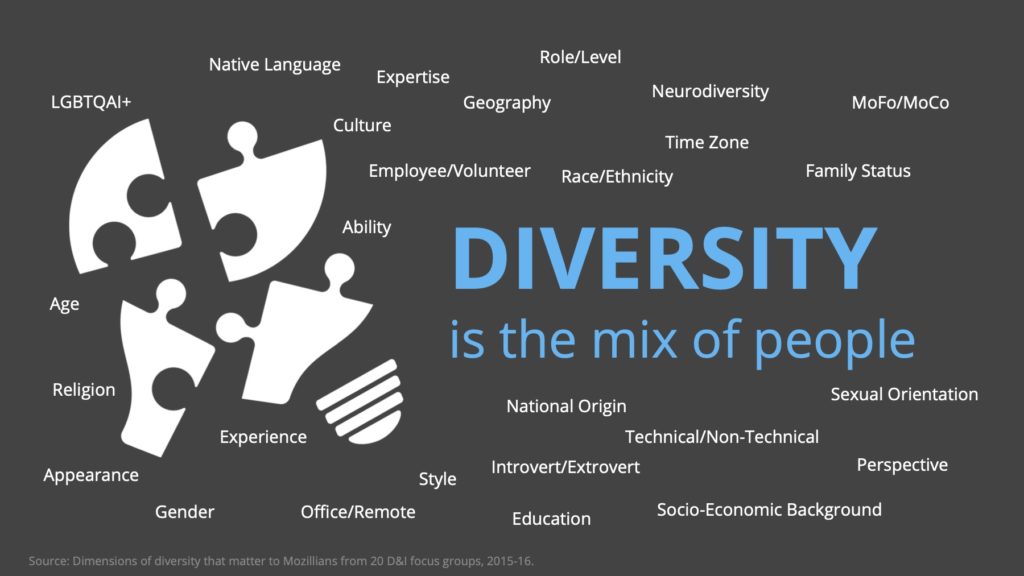 diversity is the mix of people